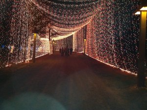 tunnel of LIGHTS - tejas
